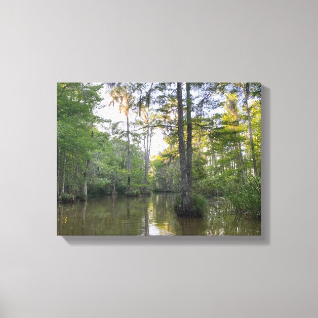 Louisiana Swamp Canvas Print (Front)