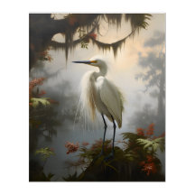 Louisiana Swamp: Snowy Egret