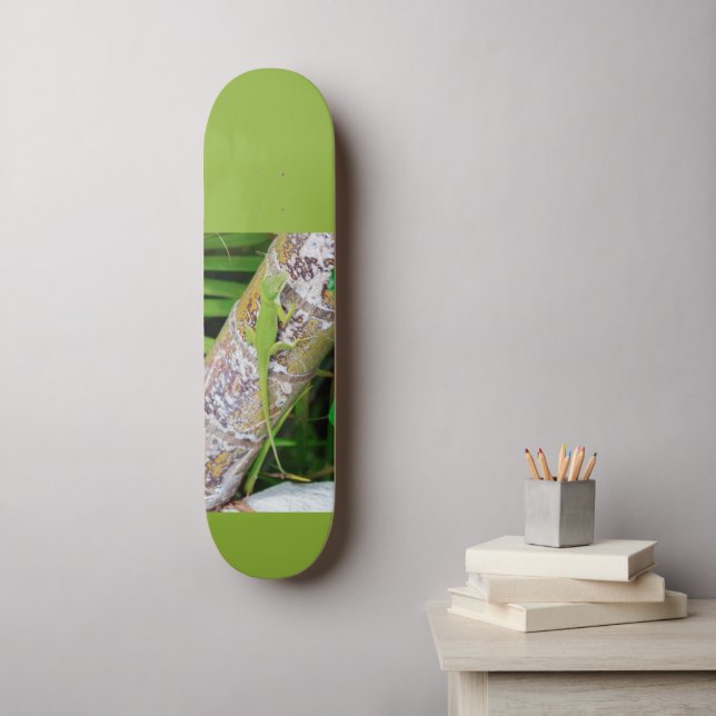 Lounge Lizard Green Gecko  Skateboard (Wall Art)