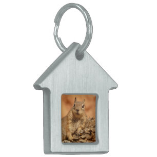Lounging Chipmunk Pet Tag