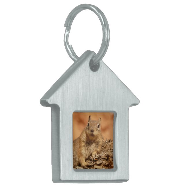 Lounging Chipmunk Pet Tag (Front Left)