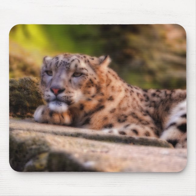 Lounging Leopard Mouse Mat (Front)