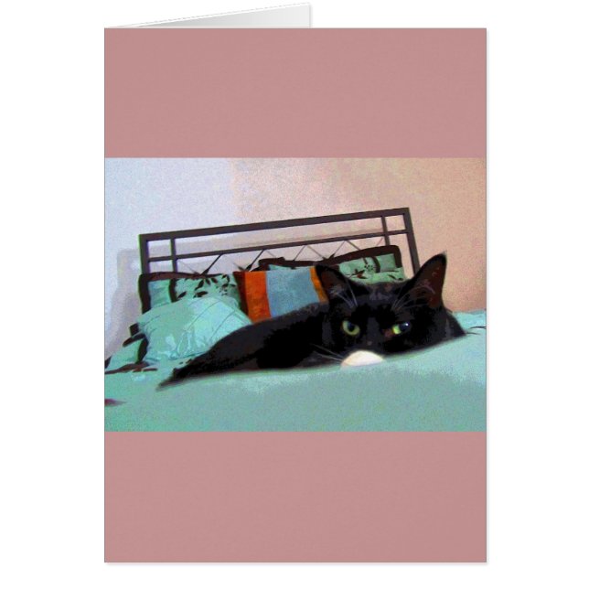 Lounging Lucy Comic Book (Front)