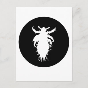 louse postcard