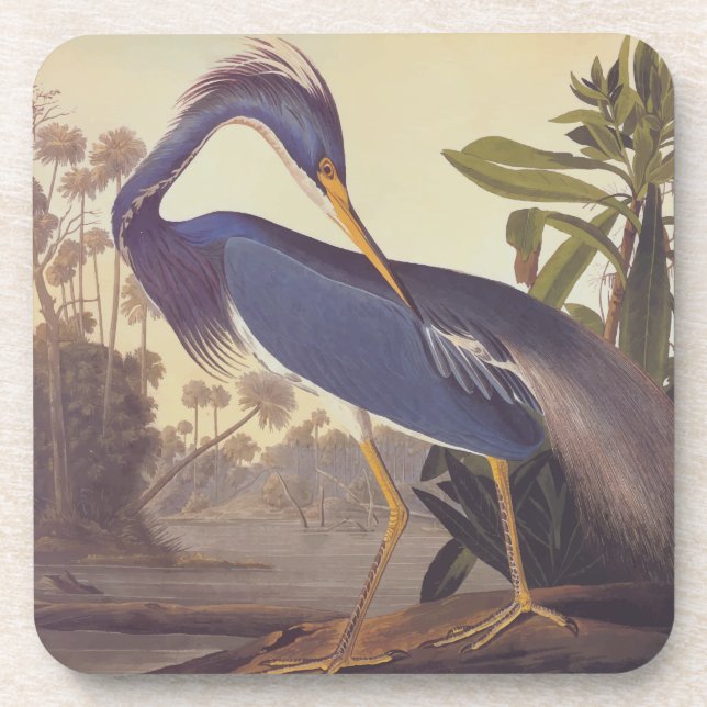 Lousiana Heron in Grey, Green, and Blue by Audubon Coaster (Front)