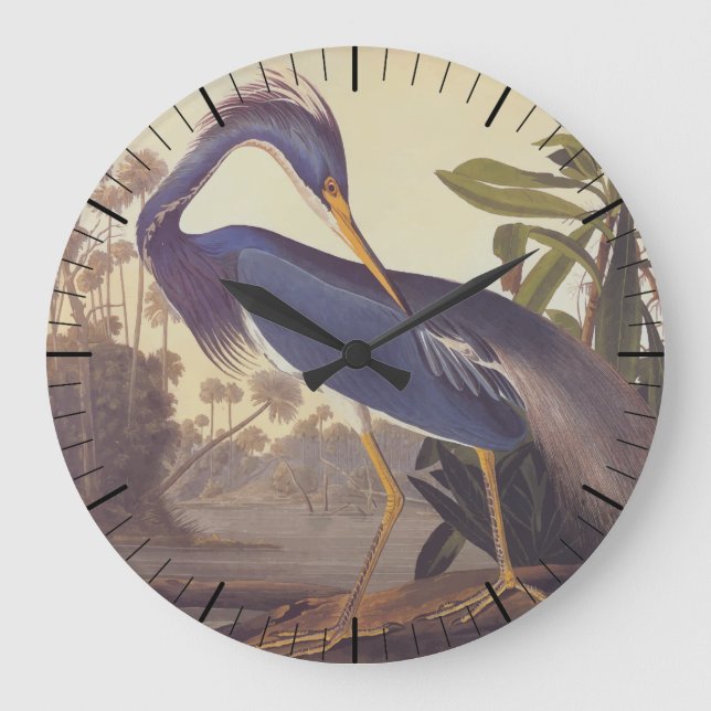 Lousiana Heron in Grey, Green, and Blue by Audubon Large Clock (Front)