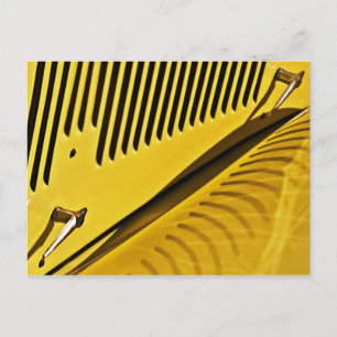 Louvers Reflected Postcard