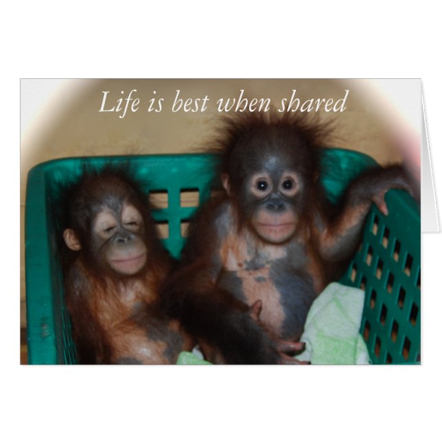 Love (Front Horizontal)