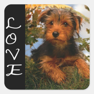 Love Airedale Terrier Puppy Dog Black Sticker