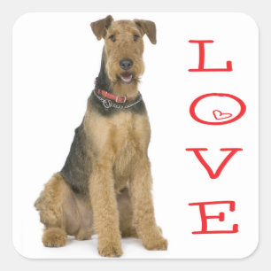 Love Airedale Terrier Puppy Dog Sticker