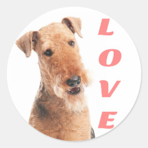 Love Airedale Terrier Puppy Dog Sticker