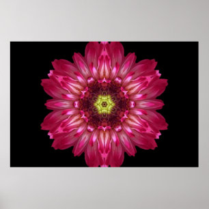 Love Allows Flower Mandala Poster