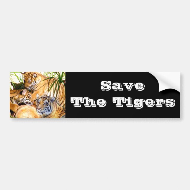  Love Always,Tigers_ Bumper Sticker (Front)