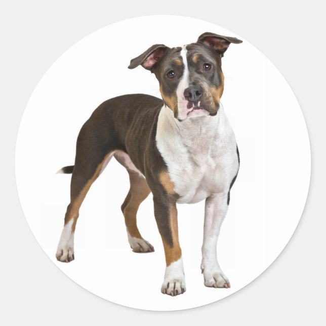 Love American Staffordshire Terrier Dog Sticker (Front)