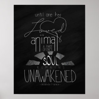 Love an Animal Anatole France Hand Lettered Poster