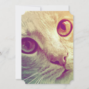 Love and Devotion Holiday Card