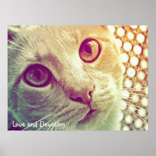 Love and Devotion Poster