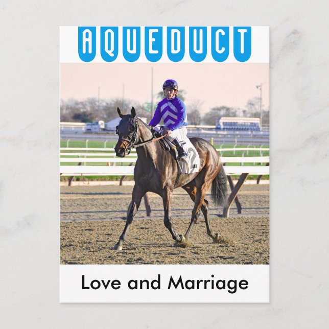 Love and Marriage Postcard (Front)