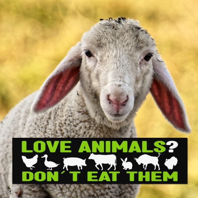 Love Animals? Don´t eat them, Vegan Activism Bumper Sticker (Creator Uploaded)