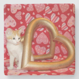 Love, Annie - Kitten / Cat Coaster