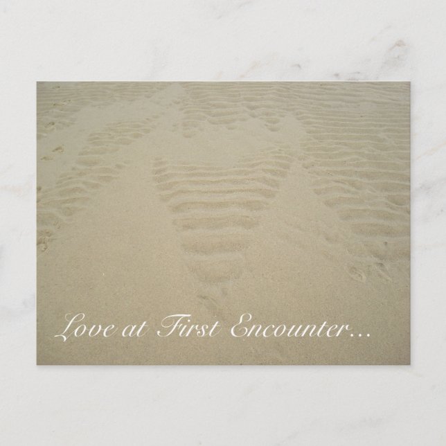 Love at First Encounter... Postcard (Front)