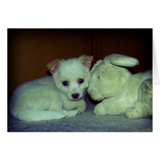 Love at first sight (Front Horizontal)