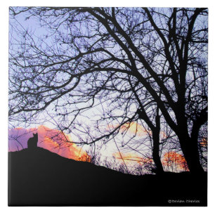 "Love At Sunset: Loss of a Cat" Memorial Tile