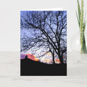 "Love At Sunset" Loss of a Cat Sympathy Card