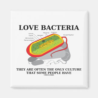 Love Bacteria Only Culture Some People Have Magnet