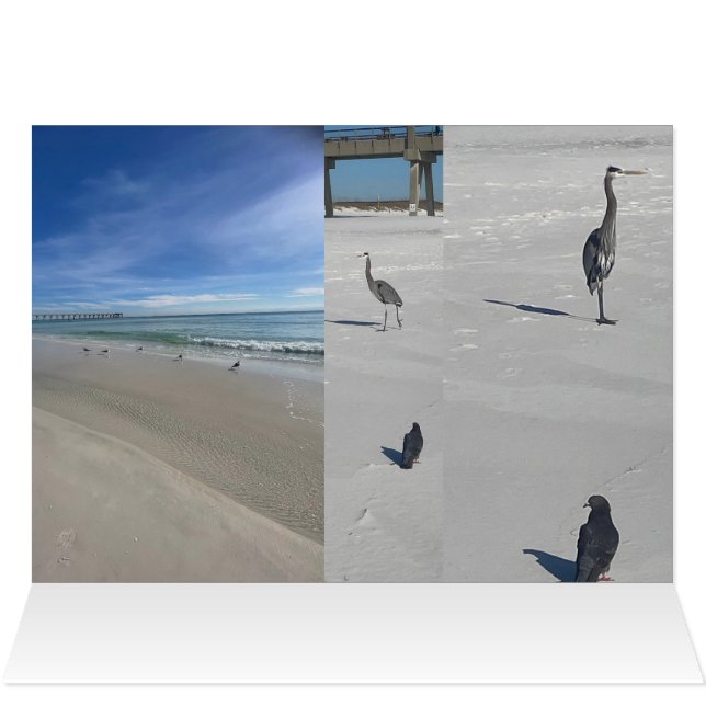 Love Beach (Inside Horizontal (Top))