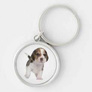 Love Beagle Puppy Dog Customised Key Chain