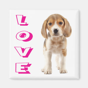 Love Beagle Puppy Dog Fridge Magnet