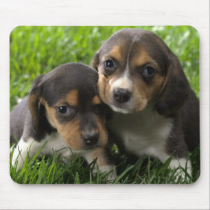 Love Beagle Puppy Dog Mouse Pad