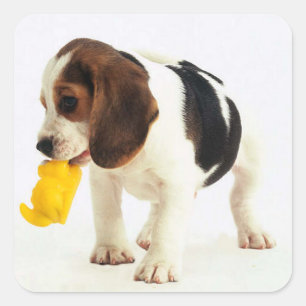 Love Beagle Puppy Dog Sticker / Seal