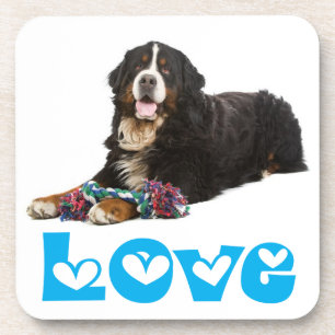 Love Bernese Mountain Puppy Dog Coaster Set