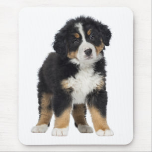 Love Bernese Mountain Puppy Dog Mouse Pad
