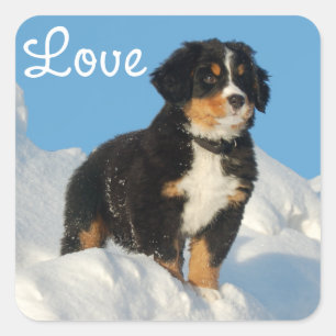 Love Bernese Mountain Puppy Dog Sticker / Seal