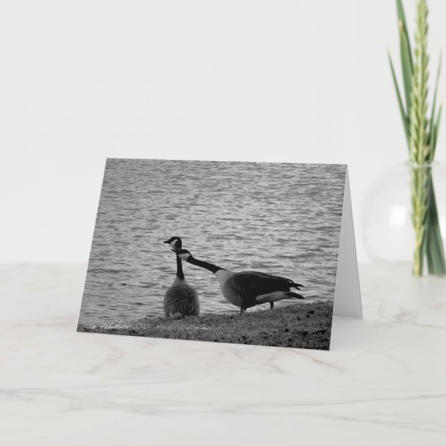 Love Birds B&W Card (Front)