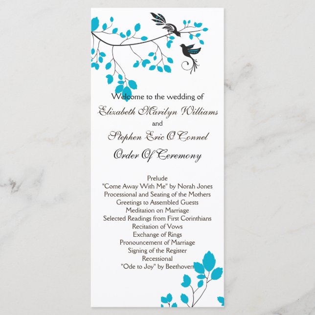 Love Birds Blue Programme (Front)