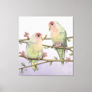 Love Birds Canvas Print
