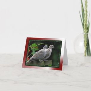 Love Birds card