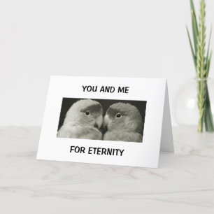 "LOVE BIRDS" LOVE EVERYDAY/VALENTINE'S DAY HOLIDAY CARD