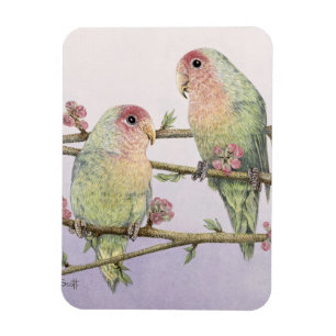 Love Birds Magnet
