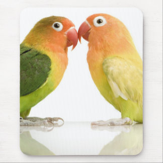 Love Birds Mouse Pad