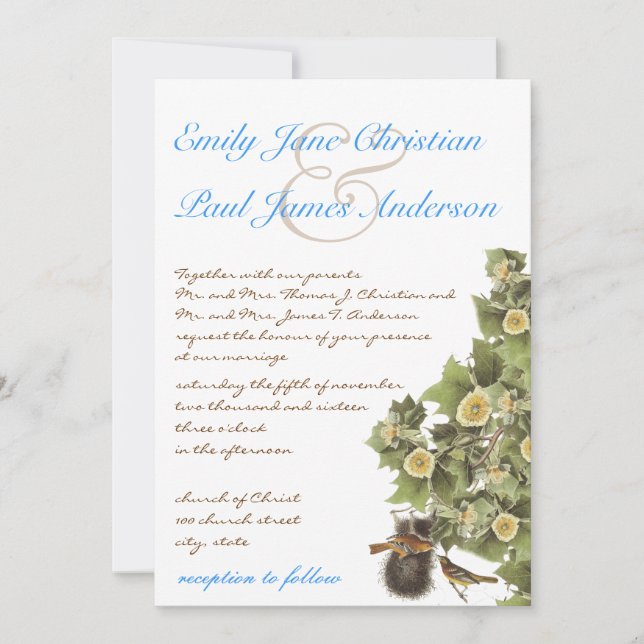Love Birds Nesting Aqua Blue Font Wedding Invitation (Front)
