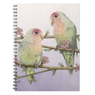 Love Birds Notebook