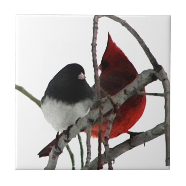 Love Birds Odd Couple Tile (Front)