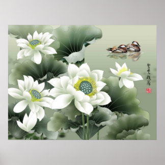 Love Birds on Pond at Play Poster