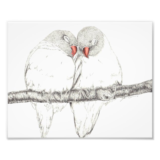 Love Birds Photo Print (Front)
