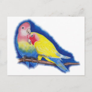 Love Birds Postcard